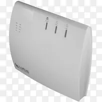 ���߽����������-������