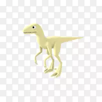 伶盗龙动物-动物-空若网 伶盗龙动物-动物-空若网