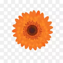 纸奥迪A7奥迪A4奥迪a6笔记本-秋叶促销标签-空若网 纸奥迪A7奥迪A4奥迪a6笔记本-秋叶促销标签-空若网