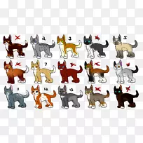 养猫-空若网 养猫-空若网