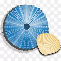 贝壳材料图片-空若网 贝壳材料图片-空若网