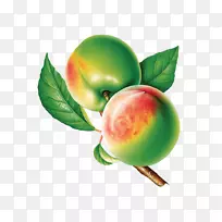 桃子-空若网 桃子-空若网