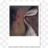 ˮ�ʻ�������-������