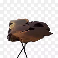 �����-������