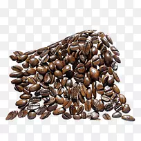 �������ɽ���ȼ��������Ʒ���ȶ�-������