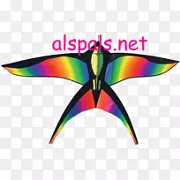 鸟盒风筝秃鹰风鸟-空若网 鸟盒风筝秃鹰风鸟-空若网