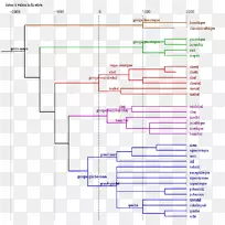 进化语言学-语言科学-空若网 进化语言学-语言科学-空若网