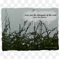 上帝,祈祷,家庭博客-人-空若网 上帝,祈祷,家庭博客-人-空若网