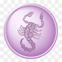 天蝎座星座天秤座星座-天蝎座十二生肖-空若网 天蝎座星座天秤座星座-天蝎座十二生肖-空若网