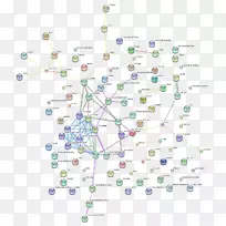 �ߵ�ͼ-��-������