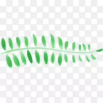 Ҷ��ֲ�ﾥ����ˮ��ҶԵ-������