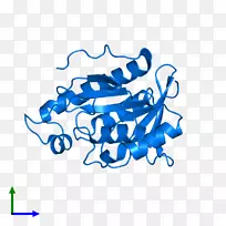 平面设计品牌剪贴画设计-空若网 平面设计品牌剪贴画设计-空若网