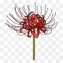 花卉设计切花菊花-空若网 花卉设计切花菊花-空若网