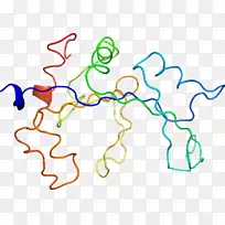 �ߵ������������-������