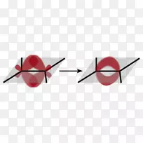 �߼�������-������