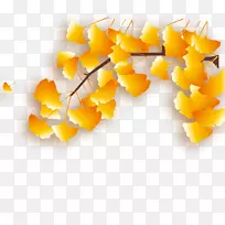 ��Ҷ���ʦ-����Ҷ-������