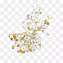 体细胞宇宙癌症数据库永生化细胞系基因-空若网 体细胞宇宙癌症数据库永生化细胞系基因-空若网