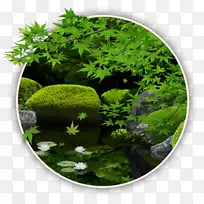 安卓咖啡厅集市谷歌玩智能手机-空若网 安卓咖啡厅集市谷歌玩智能手机-空若网