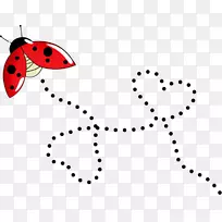 昆虫瓢虫-空若网 昆虫瓢虫-空若网