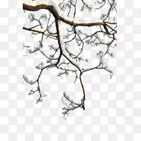 树枝下载-雪枝-空若网 树枝下载-雪枝-空若网