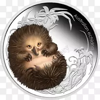 鸭嘴兽珀斯薄荷短喙壁虎银-空若网 鸭嘴兽珀斯薄荷短喙壁虎银-空若网