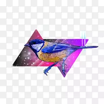 喙三角形羽毛三角形-空若网 喙三角形羽毛三角形-空若网