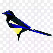 鸟,澳大利亚喜鹊,一堆喜鹊,被遗忘的萤火虫-鸟-空若网 鸟,澳大利亚喜鹊,一堆喜鹊,被遗忘的萤火虫-鸟-空若网