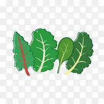 草叶、蔬菜、植物茎、种子-草本园-空若网 草叶、蔬菜、植物茎、种子-草本园-空若网