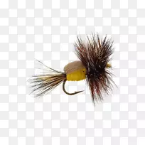 人工飞鹤蝇昆虫翅蝇-空若网 人工飞鹤蝇昆虫翅蝇-空若网