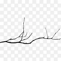 ��֦��������-������