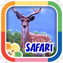 安卓谷歌游戏应用商店-空若网 安卓谷歌游戏应用商店-空若网