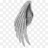 绘画剪贴画.羽毛-空若网 绘画剪贴画.羽毛-空若网