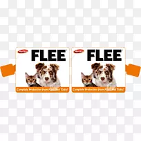 ����ֳƷ�Ʊ�������-��-������