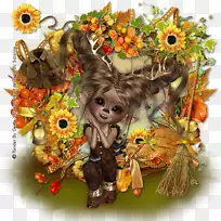 花卉设计.设计-空若网 花卉设计.设计-空若网