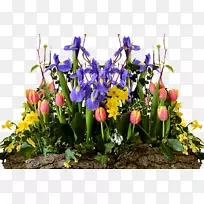 贺海花卉设计-水仙花-空若网 贺海花卉设计-水仙花-空若网