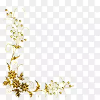 凯纳尔-空若网 凯纳尔-空若网