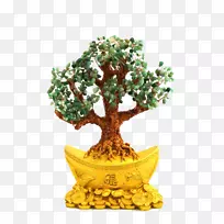 盆景树花盆-幸运树盆景免费拉免费首饰-空若网 盆景树花盆-幸运树盆景免费拉免费首饰-空若网