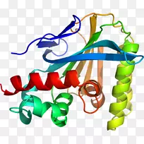 人体珠宝线剪贴画线-空若网 人体珠宝线剪贴画线-空若网