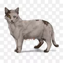 Nebelung胡须大草原猫土耳其凡孟加拉猫小猫-空若网 Nebelung胡须大草原猫土耳其凡孟加拉猫小猫-空若网