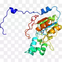 线点生物剪贴画线-空若网 线点生物剪贴画线-空若网