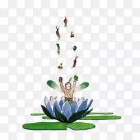 ˮ�ʻ�-��ֲͨ��ˮ�ʻ�������-������