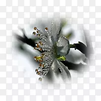 台式壁纸特写电脑壁纸电脑-空若网 台式壁纸特写电脑壁纸电脑-空若网