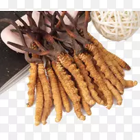 草本毛毛虫真菌中药生药野草冬虫夏草-空若网 草本毛毛虫真菌中药生药野草冬虫夏草-空若网