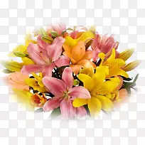 ��������л��ʼҰٺϻ���-������