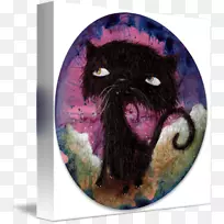 胡须猫鼻子猫-空若网 胡须猫鼻子猫-空若网