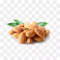 杏仁营养桃子营养核桃坚果手绘杏仁-空若网 杏仁营养桃子营养核桃坚果手绘杏仁-空若网