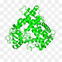 ���߼�����-��-������