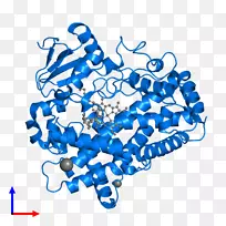 人类行为线有机体点线-空若网 人类行为线有机体点线-空若网
