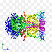 艺术平面设计线点线-空若网 艺术平面设计线点线-空若网