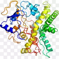 ���������л����߼�������-������